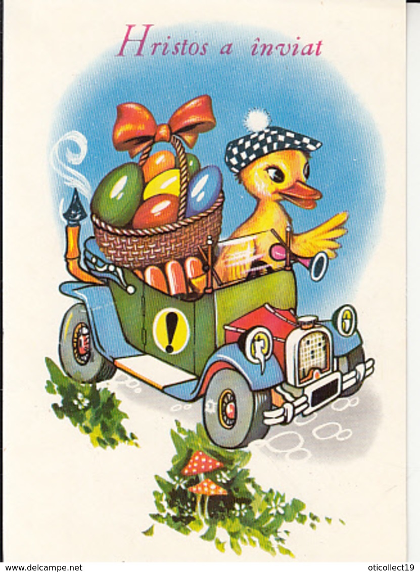 MUSHROOMS, DUCKLING IN A CAR, PAINTED EGGS POST CARD STATIONERY ROMANIA - Paddestoelen