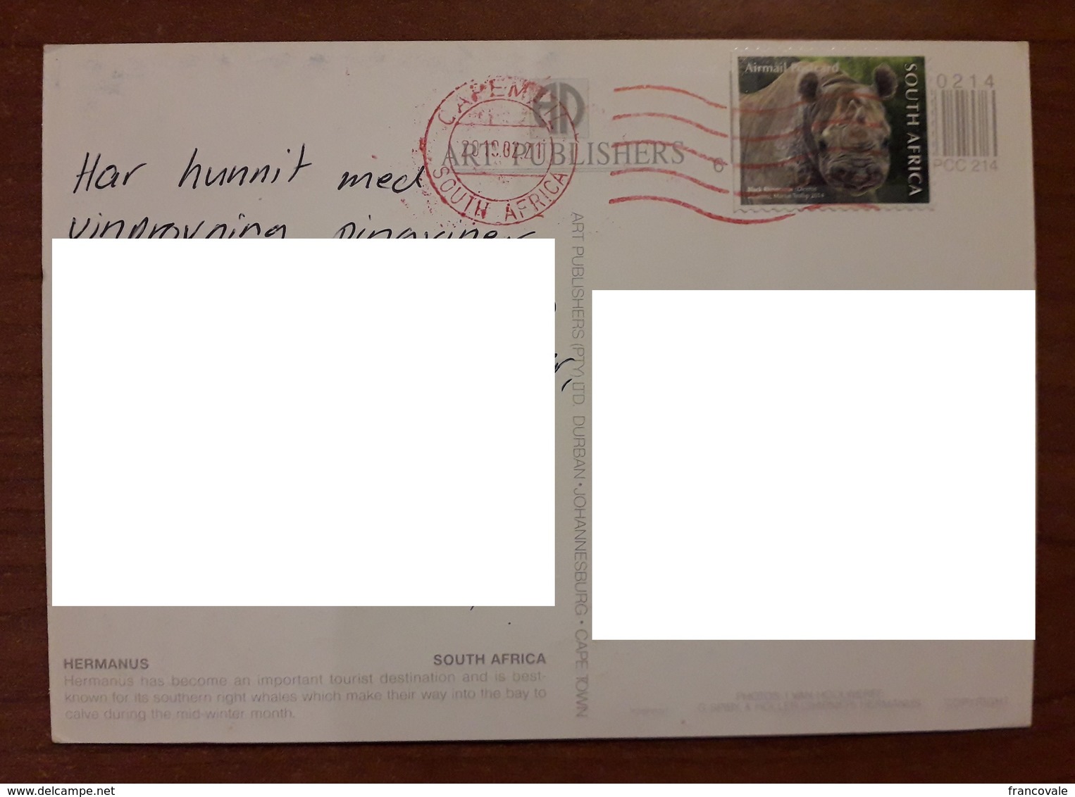 South Africa  2019 Airmail Postcard Rhino Animals - Cartas & Documentos