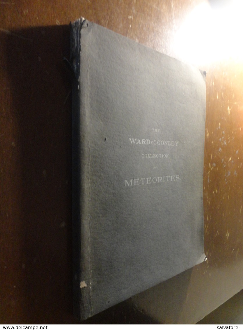 THE WARD-COONLEY COLLECTION METEORITES-CHICAGO 1904 - Other & Unclassified