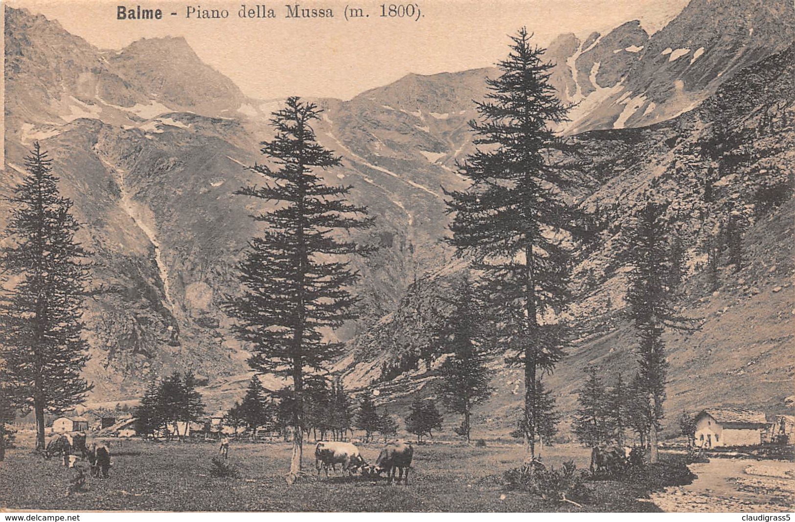 0857  "BALME (TO)-PIANO DELLA MUSSA"  ANIMATA CART  ORIG - Panoramic Views