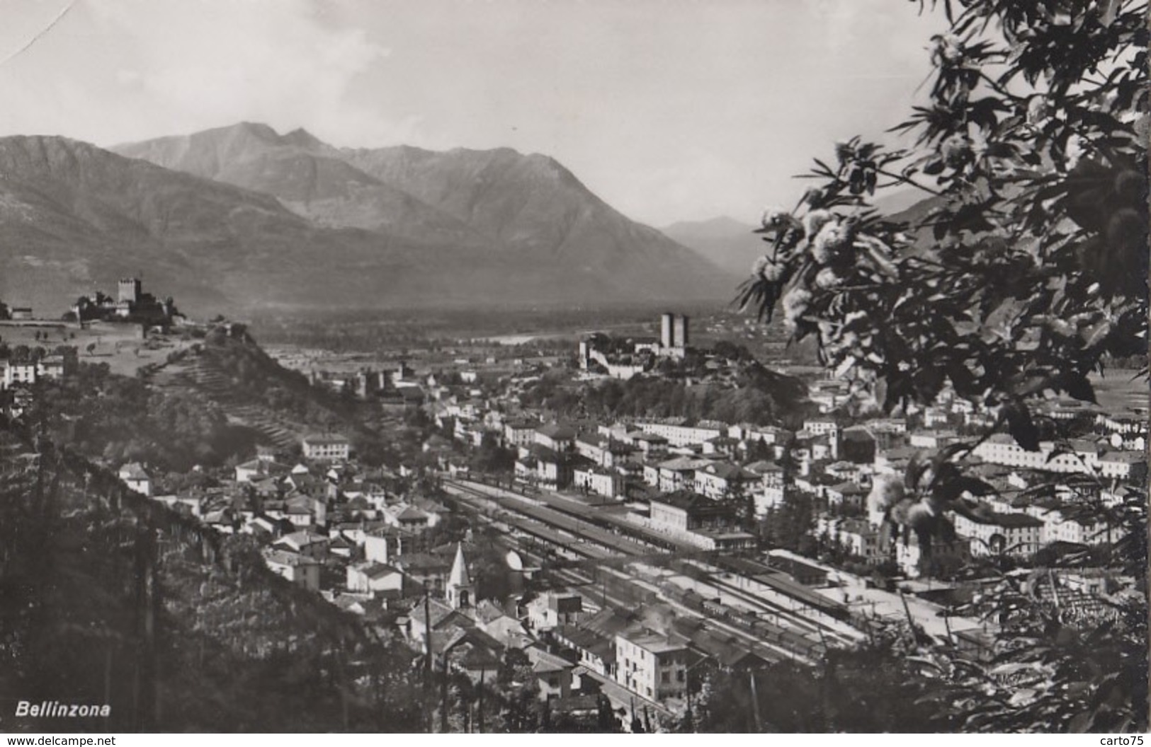 Suisse - Bellinzone Bellinzona - Panorama Ville - Gare Chemin De Fer - Bellinzone