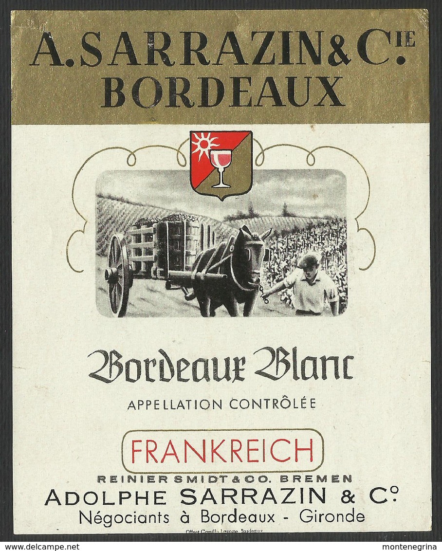 WINE BORDEAUX BLANC - LABEL 10 X 12,5 Cm (see Sales Conditions) - Riesling