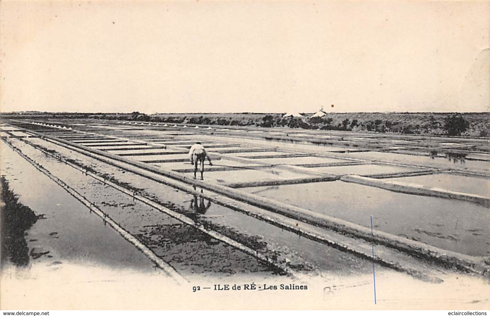 Ile De Ré.    17      Les Salines       (voir Scan) - Ile De Ré