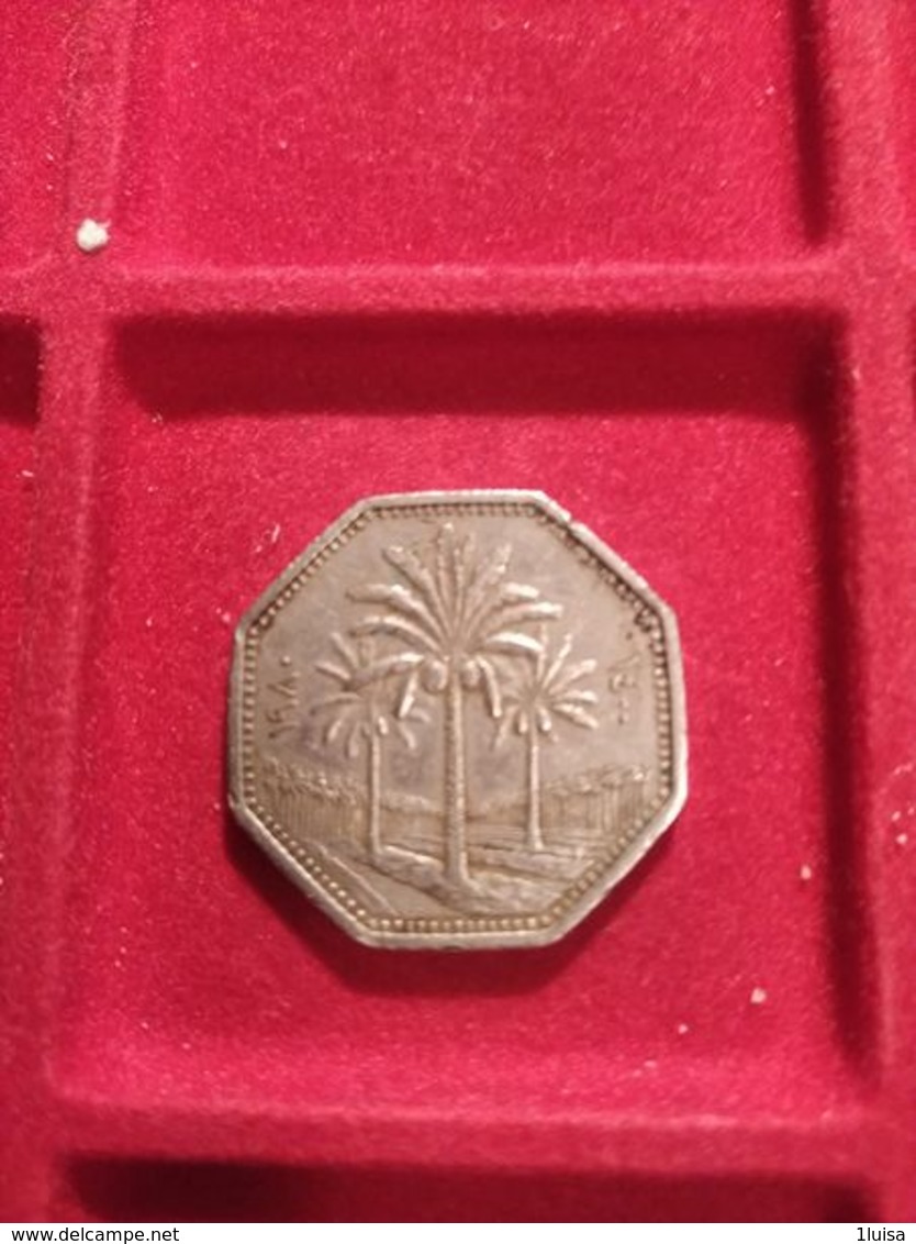 Irak 250 Fils 1980 - Iraq