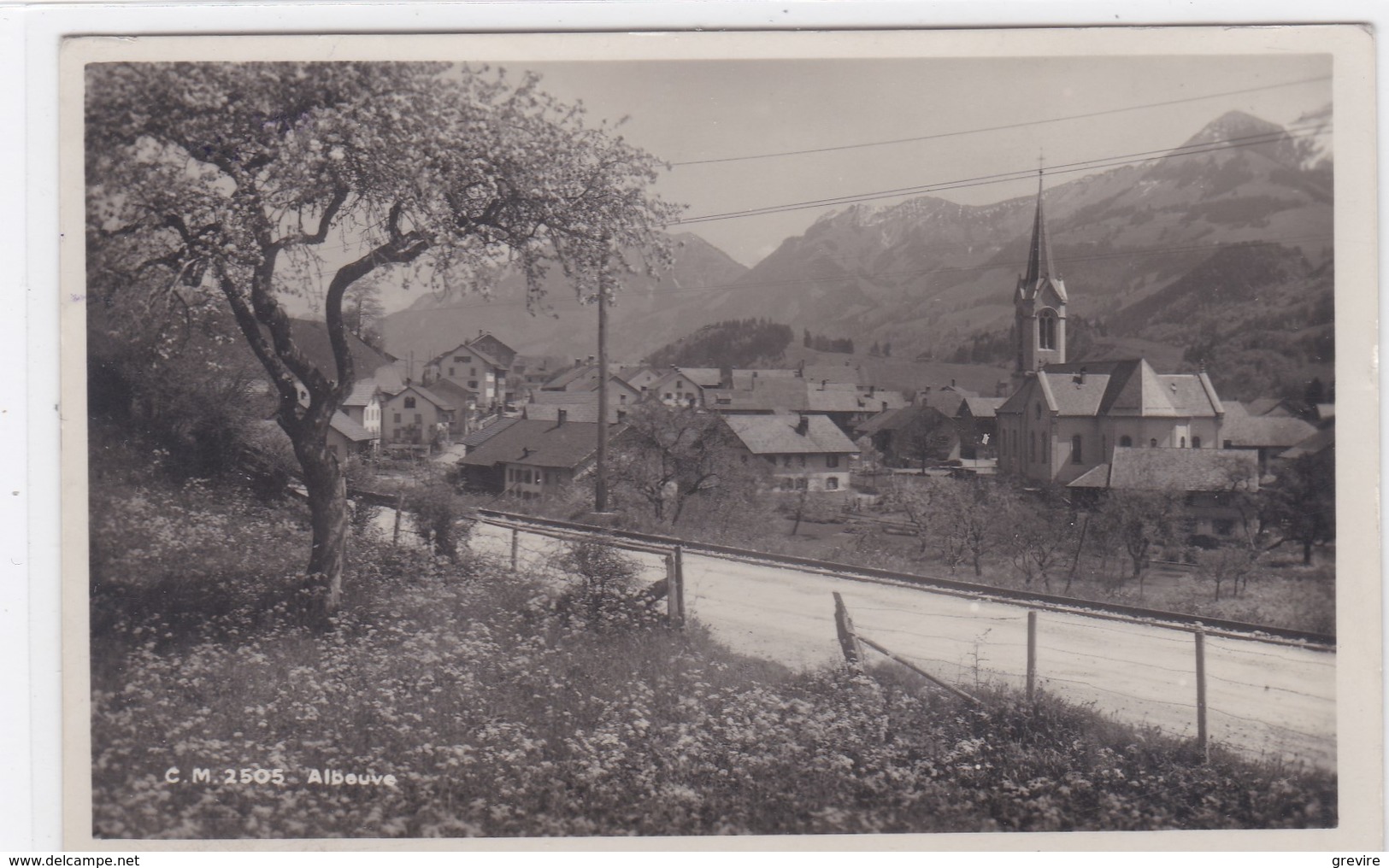 Albeuve, Carte-photo, Vue Partielle - Albeuve