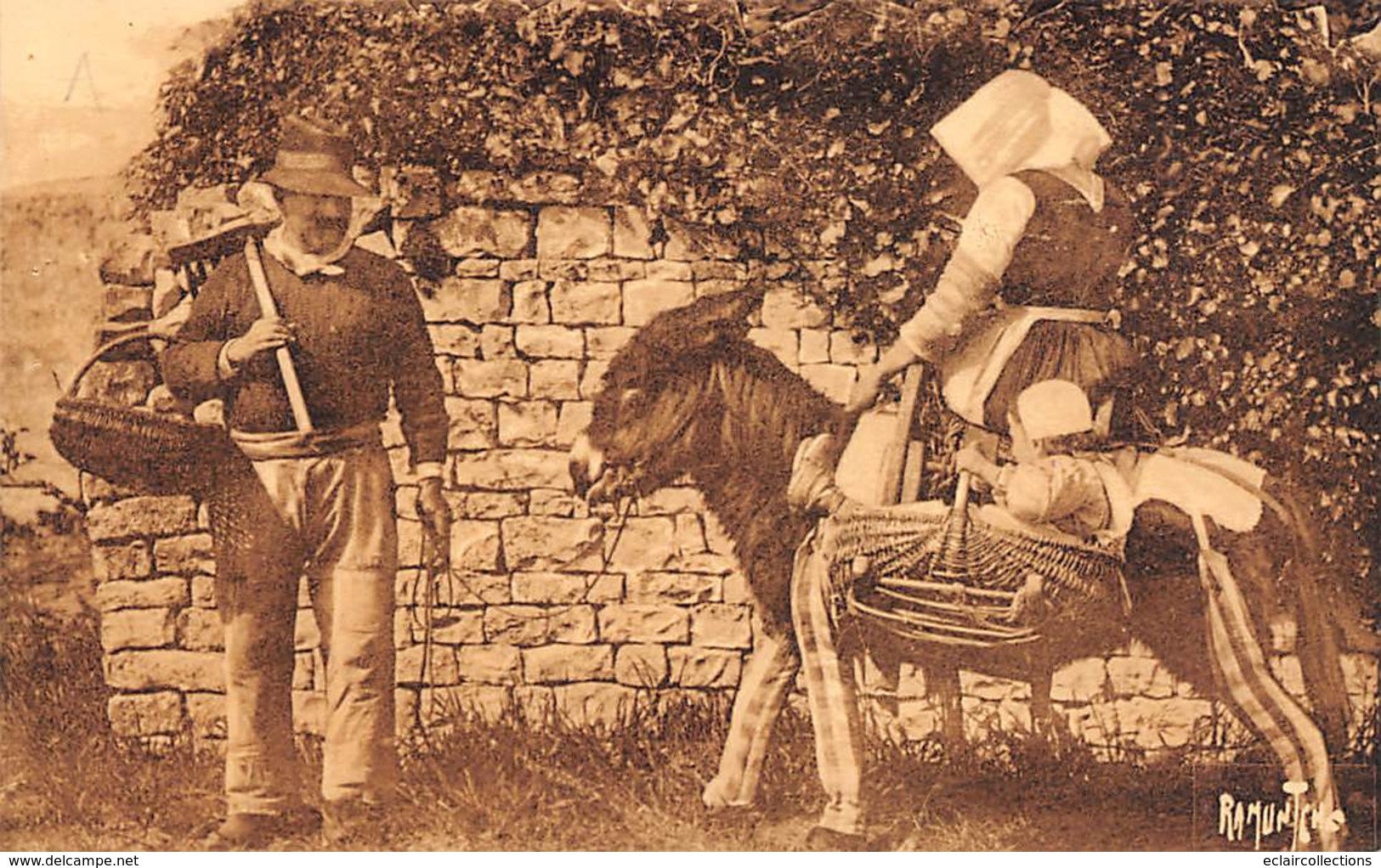 Ile De Ré.    17     Agriculteurs Départ Pour Les Champs . Ane En Culotte            ( Sépia Voir Scan) - Ile De Ré