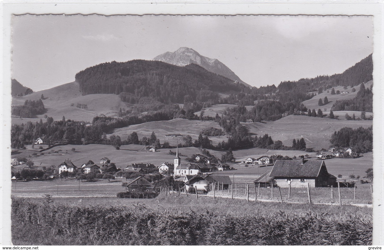 Le Pâquier, Vue Générale - Le Pâquier