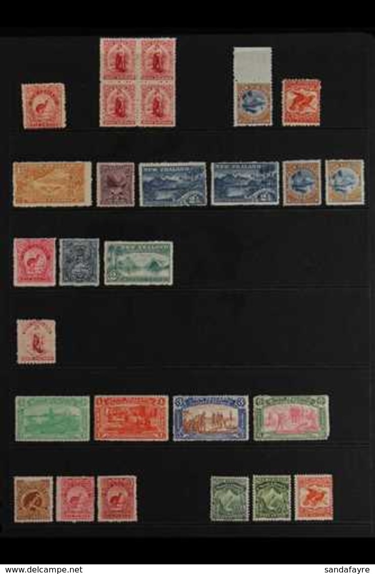 1899-1909 MINT COLLECTION On Stock Pages, Includes 1899-03 6d Rose, 1902 1d No Wmk Perf 14 Block Of 4, 1902-07 Perf 11 1 - Altri & Non Classificati