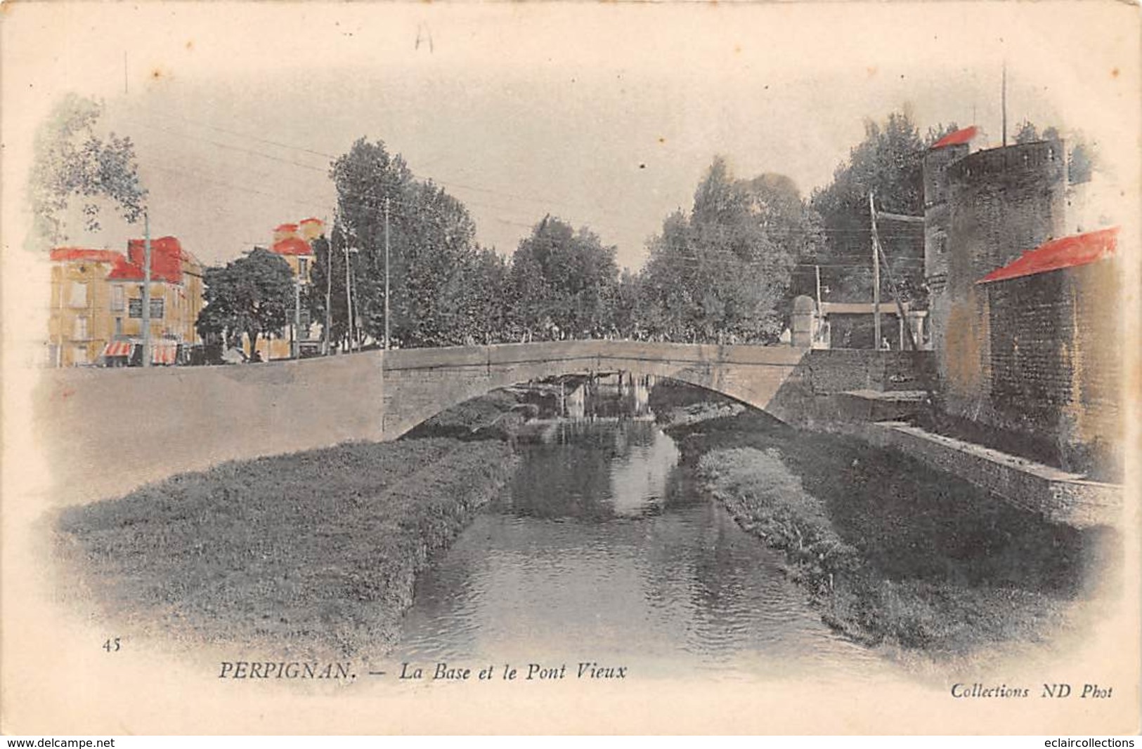 Perpignan       66          La Basse Et Le Pont Vieux            (voir Scan) - Perpignan