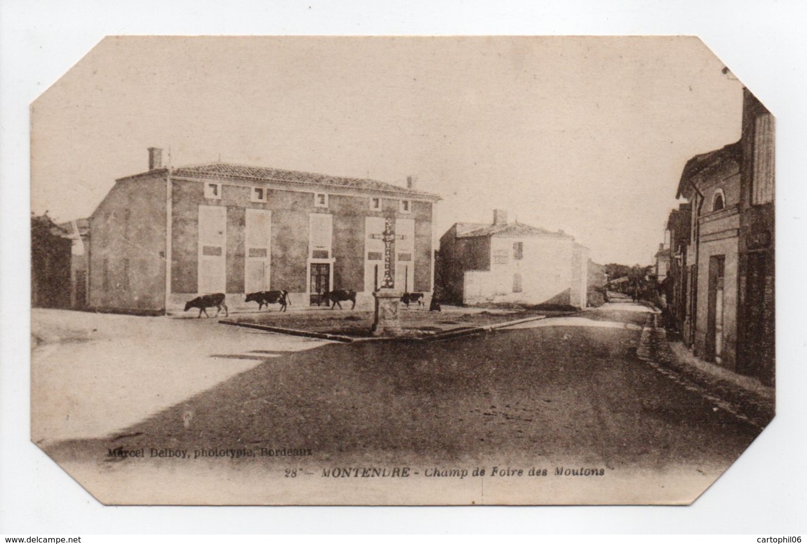 - CPA MONTENDRE (17) - Champ De Foire Des Moutons - Photo Marcel Delboy N° 28 - - Montendre