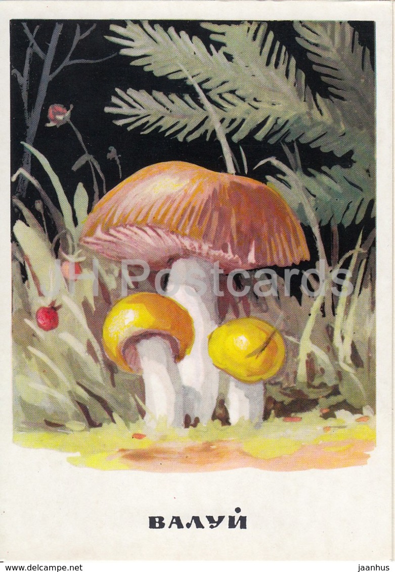 Russula Foetens - Russula Foetens - Mushrooms - Illustration - 1971 - Russia USSR - Unused - Paddestoelen