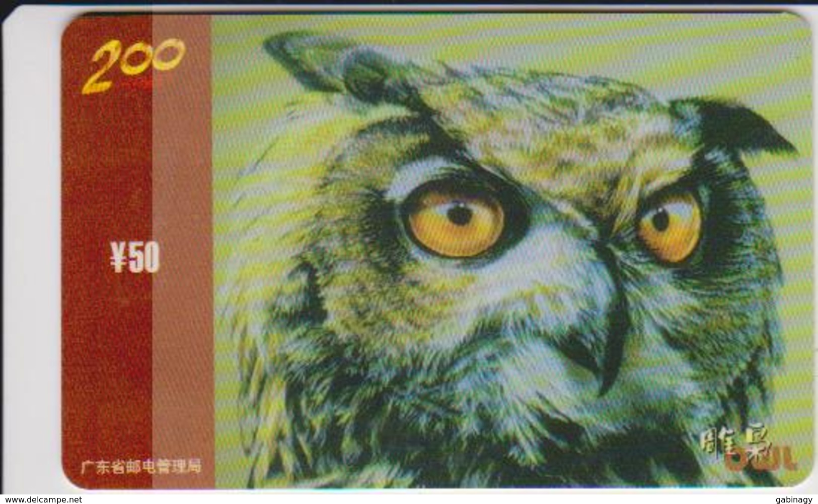 OWL - CHINA-21 - Owls