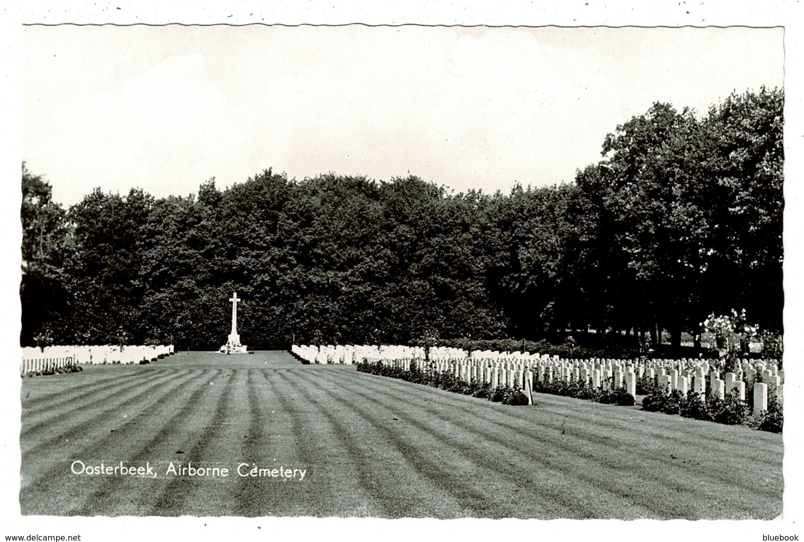 Ref 1336 - Real Photo Netherlands Postcard - Oosterbeck Airborne Military Cemetery - Oosterbeek