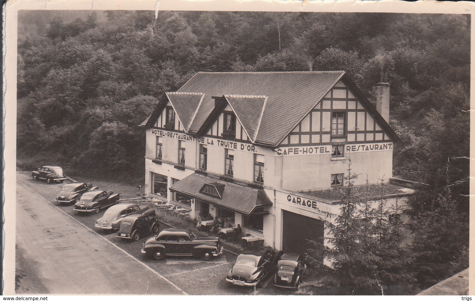 Falaën - "La Truite D'Or" Hôtel - Onhaye