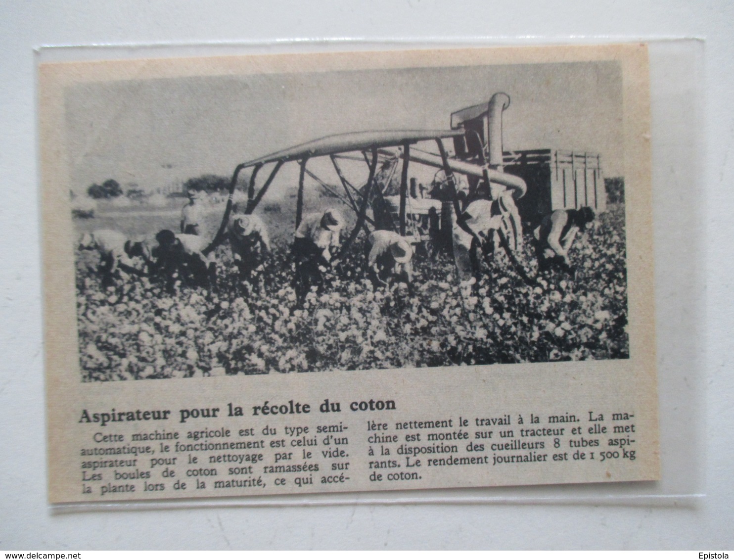 TEXAS Usa Cotton Harvest - Aspirateur De Récolte De Coton  - Coupure De Presse De 1950 - Andere Geräte