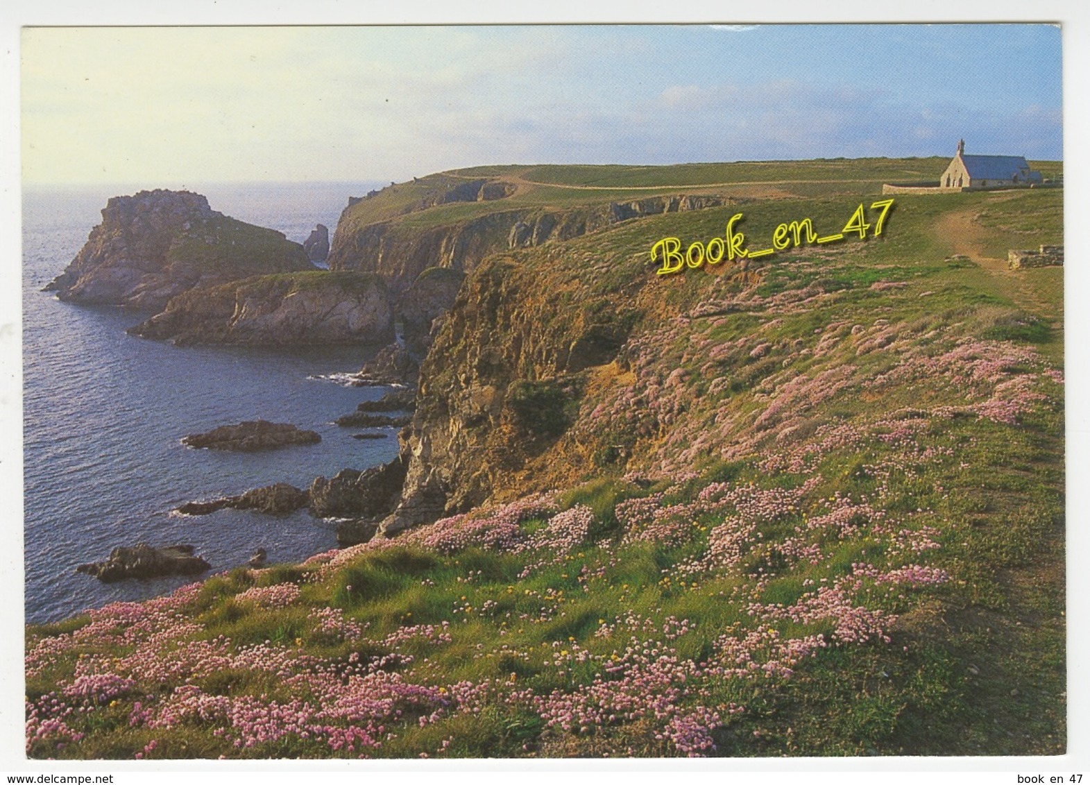 {37884} 29 Finistère , Côte De Bretagne Au Printemps , La Pointe Du Van - Cléden-Cap-Sizun