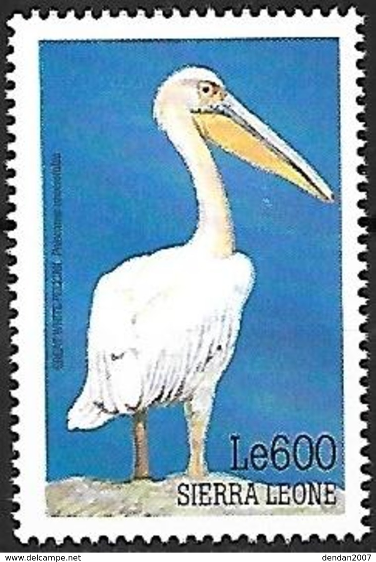 Sierra Leone - MNH 1999 -    Great White Pelican  - Pelecanus Onocrotalus - Pelikanen