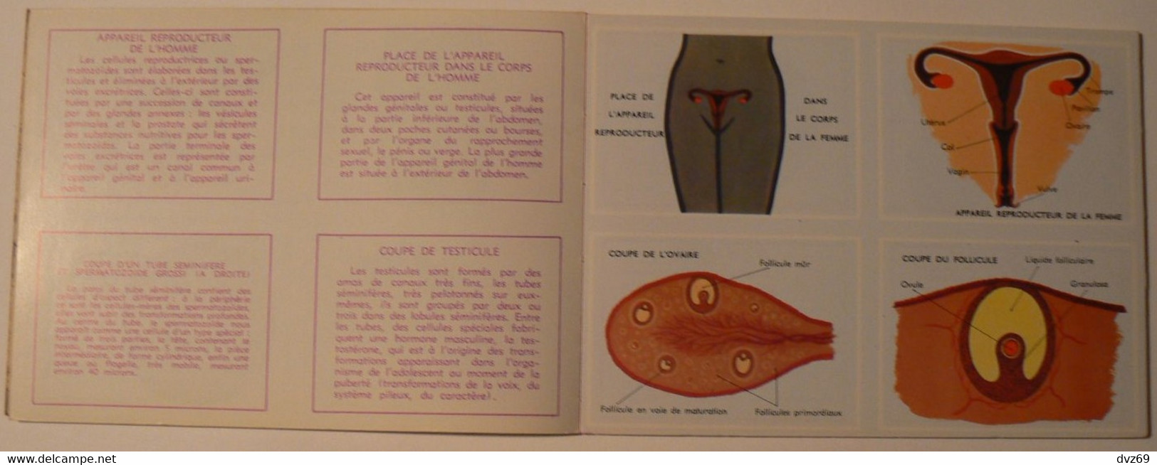 Livret éducatif Volumétrix : N° 52, Etudes D'Anatomie III, Parfait état. - Learning Cards