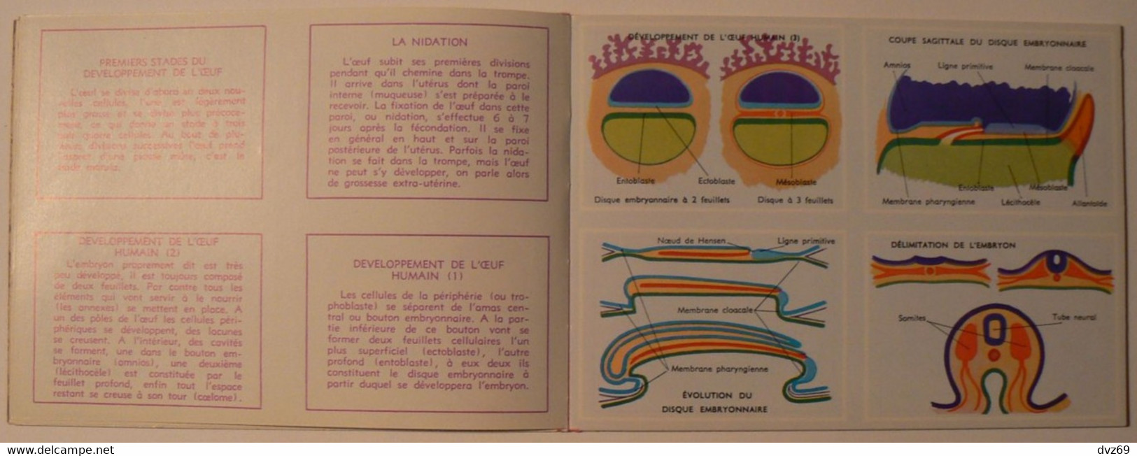 Livret éducatif Volumétrix : n° 52, Etudes d'Anatomie III, parfait état.