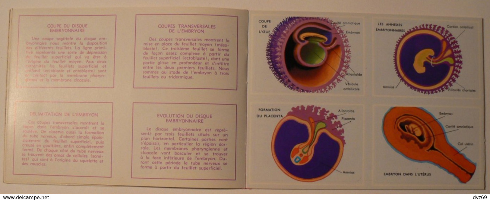 Livret éducatif Volumétrix : n° 52, Etudes d'Anatomie III, parfait état.