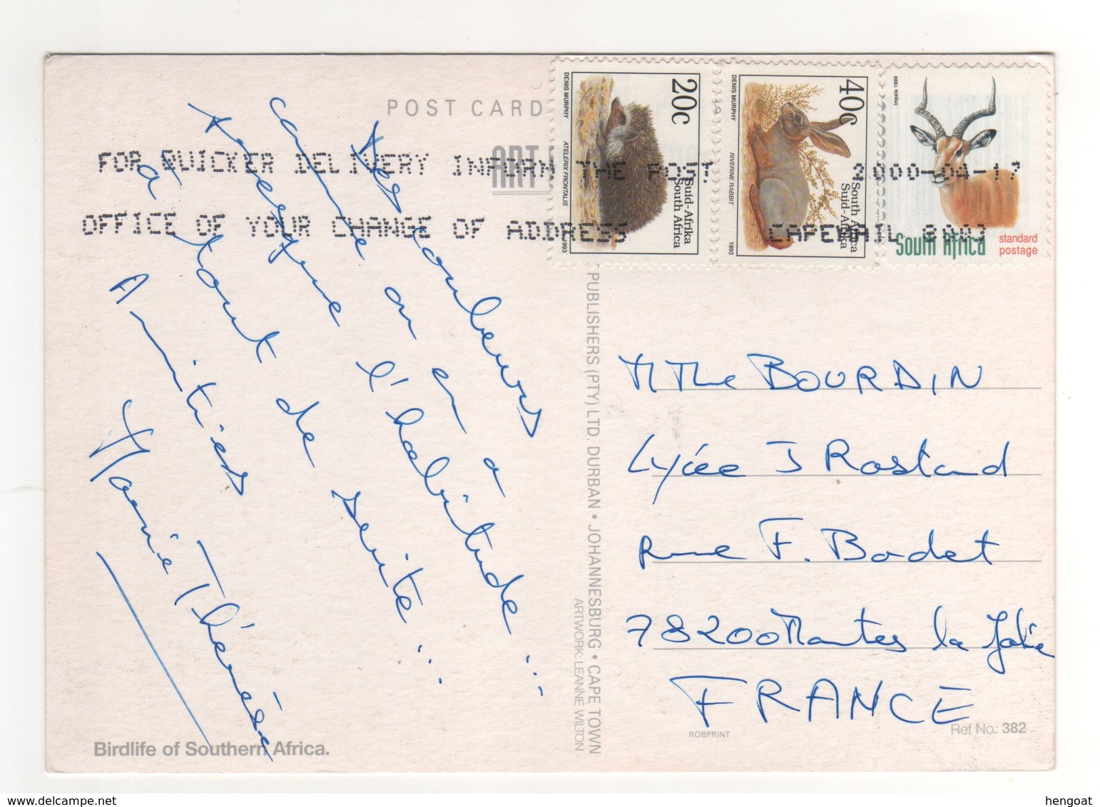 Beaux Timbres , Stamps " Hérisson , Lapin , Antilope " Sur Cp , Carte , Postcard  " Birdlife Africa " Du 17/04/2000 - Cartas & Documentos