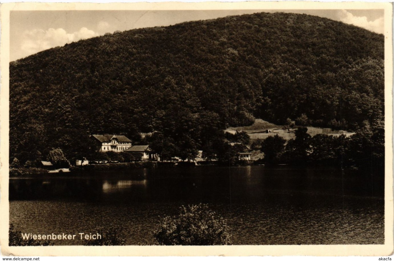 CPA AK Bad Lauterberg Wiesenbeeker Teich GERMANY (955755) - Bad Lauterberg