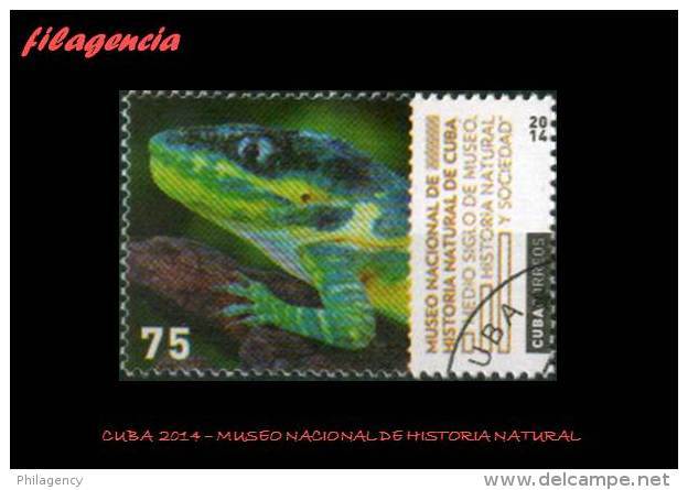 USADOS. CUBA. 2014-23 MUSEO NACIONAL DE HISTORIA NATURAL. FAUNA. LAGARTO - Gebruikt