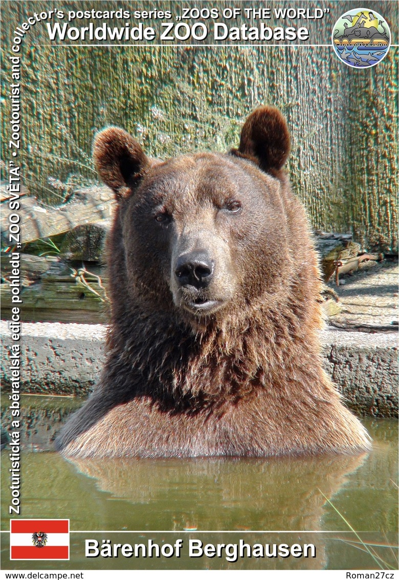 782 Bärenhof Berghausen, AT - Brown Bear (Ursus Arctos) - Ehrenhausen