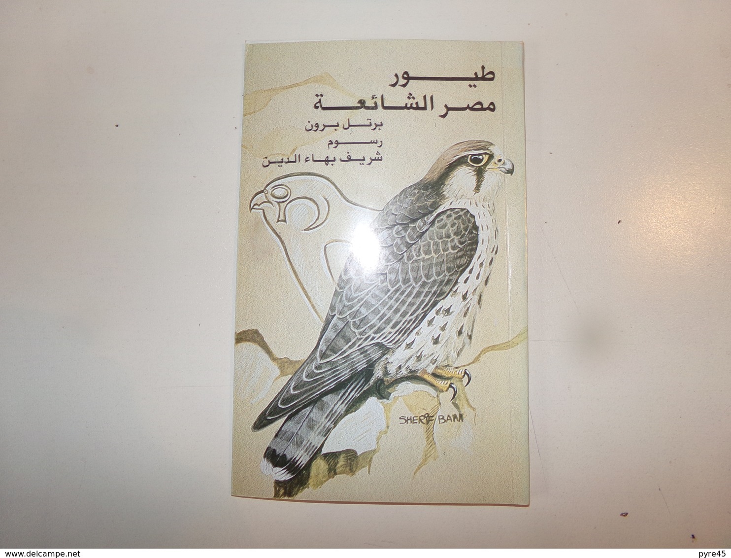 Common Birds Of Egypt Par Bruun, 1985, - Sonstige & Ohne Zuordnung