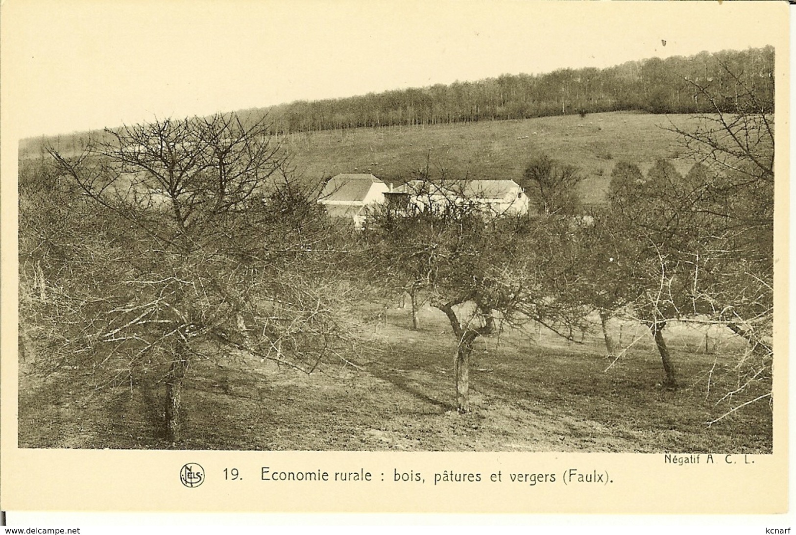 CP De FAULX " Economie Rurale , Bois , Pâtures Et Vergers " - Gesves