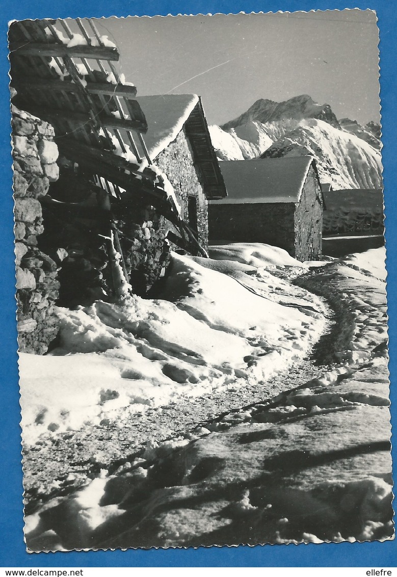 CPSM 10/15  Carte Photo Alpe De VENOSC 1650 M PHOTO MICHEL Non Voyagée - Vénosc