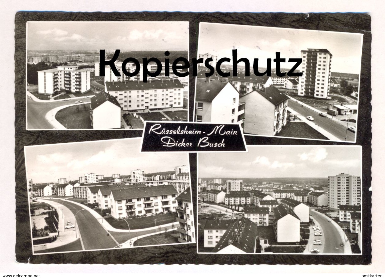 ÄLTERE POSTKARTE RÜSSELSHEIM MAIN DICKER BUSCH Ansichtskarte AK Cpa Postcard - Rüsselsheim