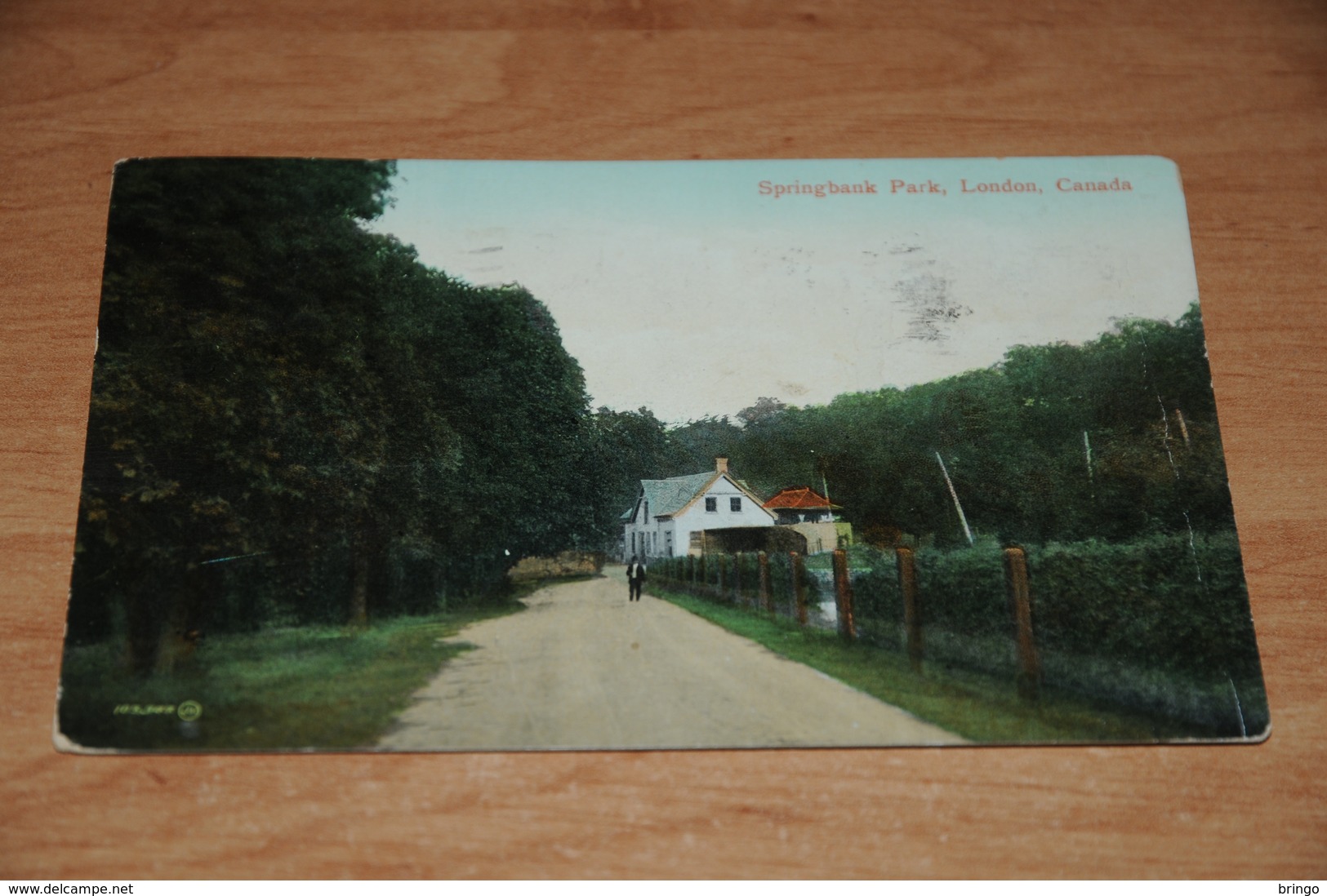 2922-          CANADA, ONTARIO, LONDON, SPRINGBANK PARK - 1911 - London