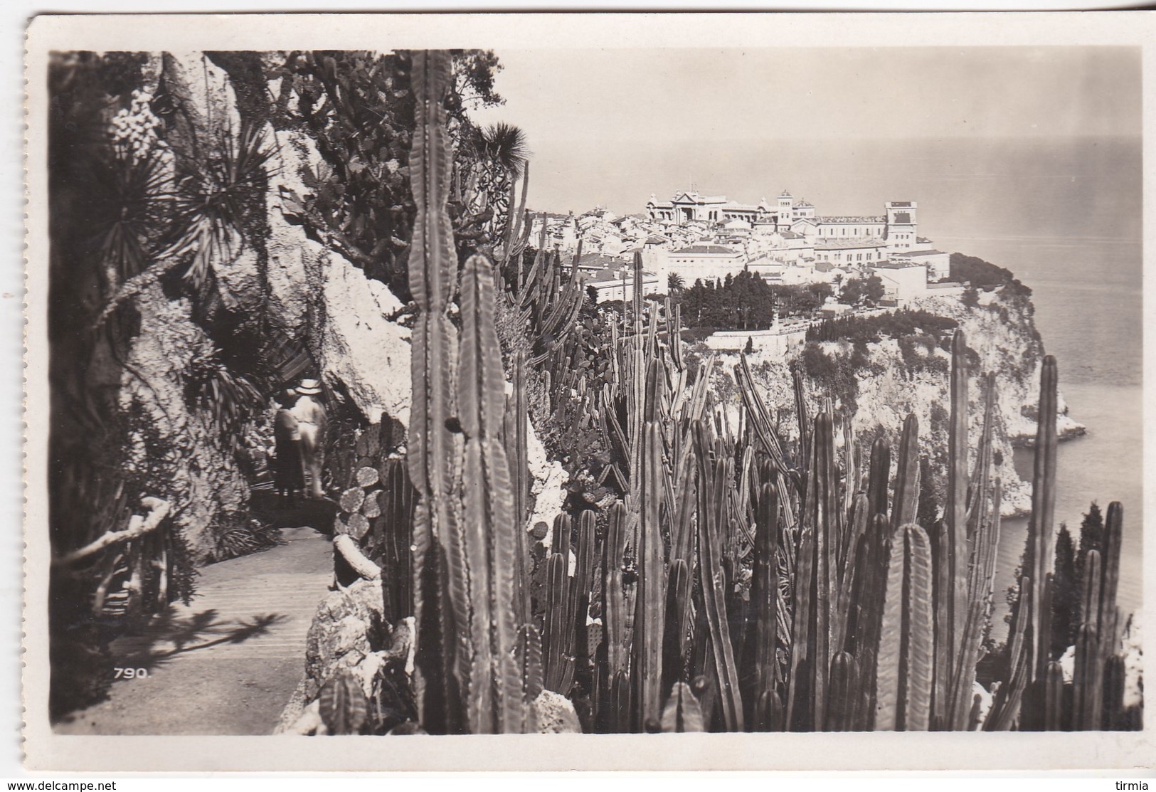 Monaco - Vue Prise Du Jardin Exitoque - Cathédrale Notre-Dame-Immaculée