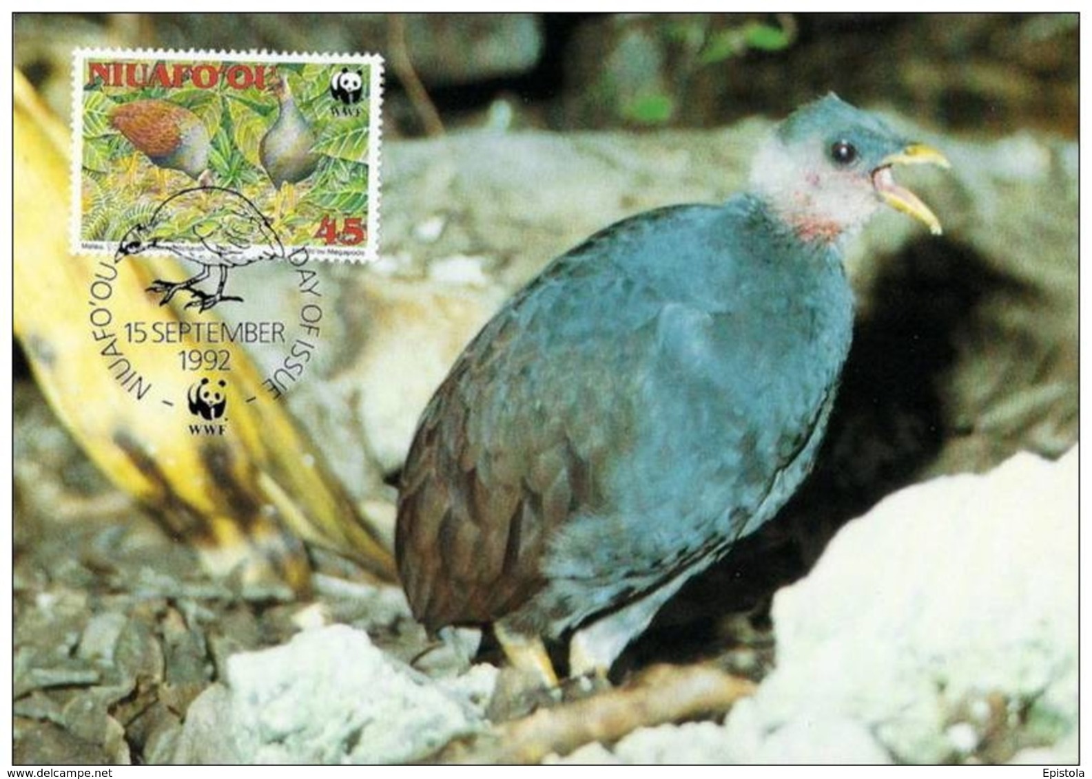 Niuafo'ou : CM Carte Maximum WWF Oiseau Megapodius Pritchardii Megapode Grossfusshuhn - Tonga