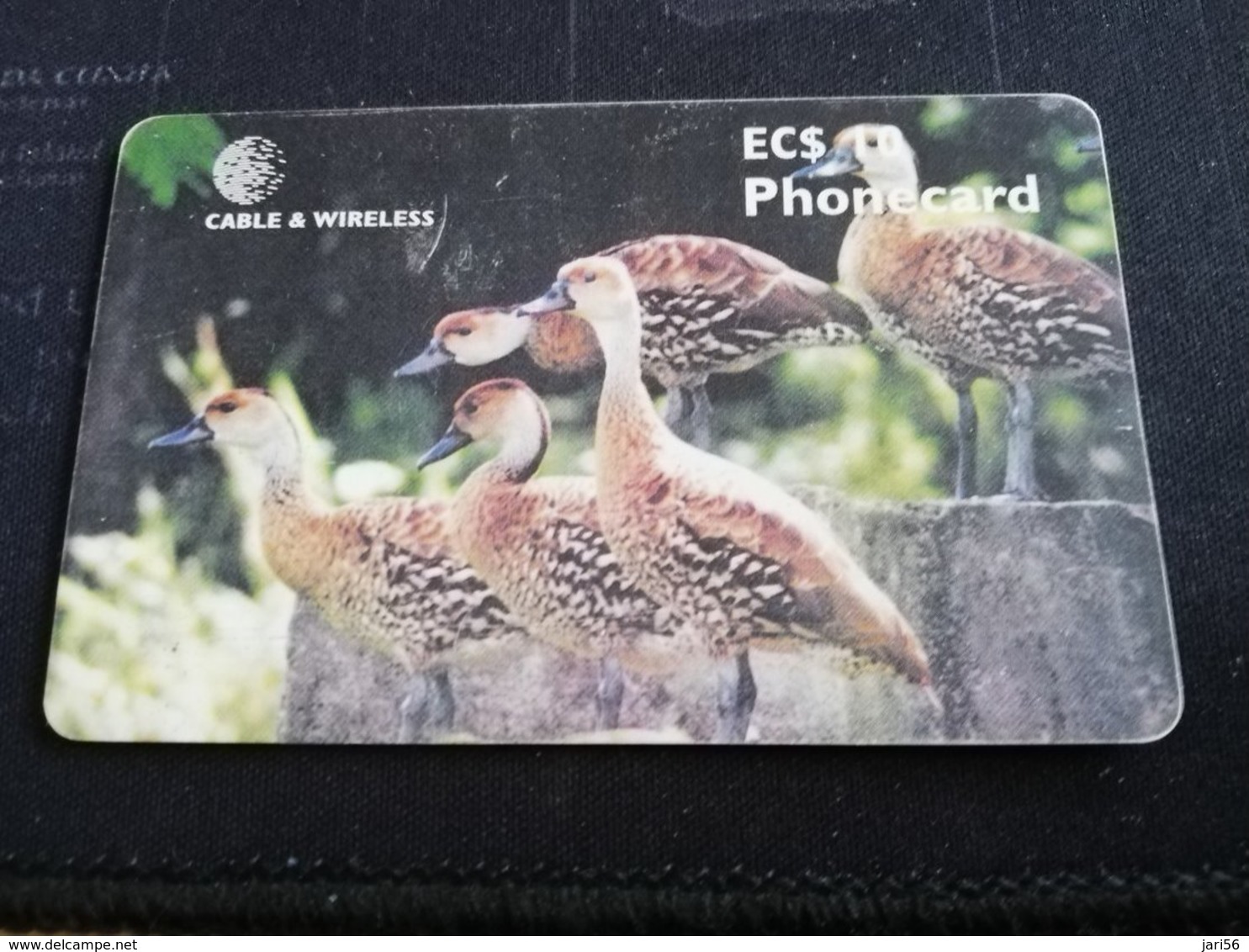 ANTIGUA  $10,- CHIPCARD WEST INDIAN TREE DUCK   Fine Used Card  ** 429 ** - Antigua U. Barbuda