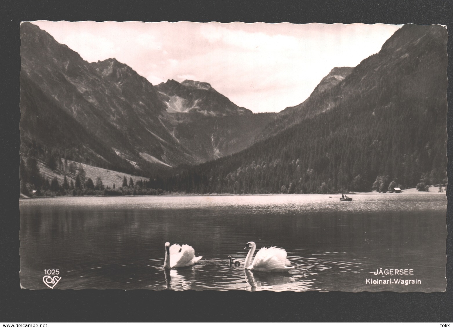 Kleinarl Wagrain - Jägersee - Schwan / Swan - Wagrain