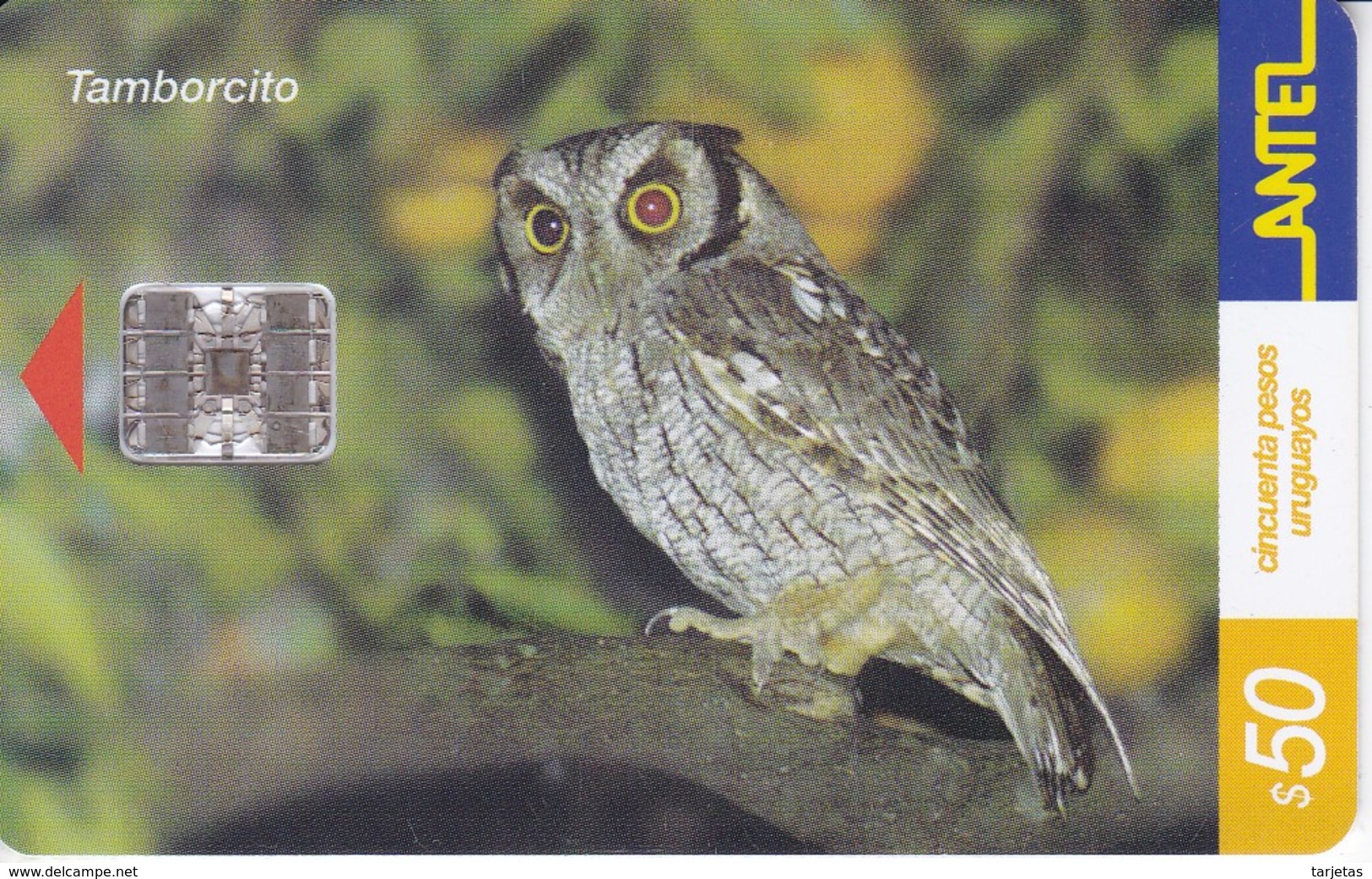 Nº 195 TARJETA DE URUGUAY DE ANTEL DE UN TAMBORCITO (BUHO-OWL-CHOUETTE) - Owls