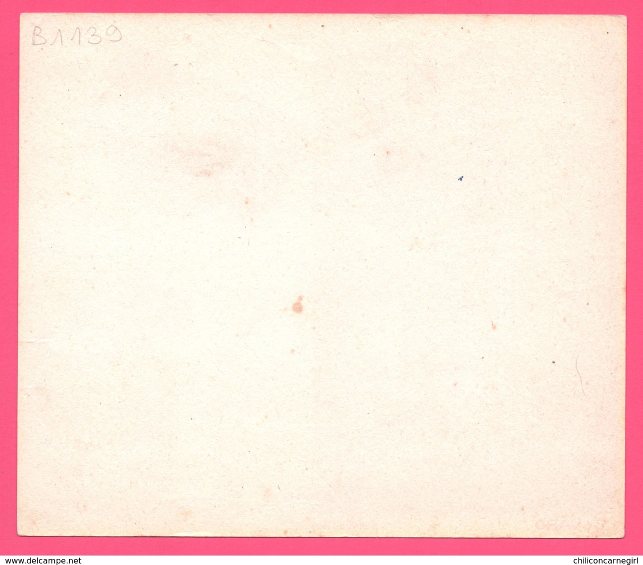 BUVARD Illustré - BLOTTING PAPER - Biscottes LUC - Rue Pasteur - CHATEAUROUX - Imp. B. SIRVEN - Biscottes