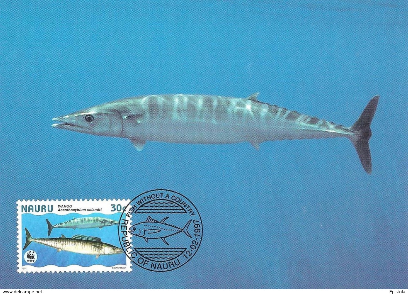 1997 - NAURU - Poisson WAHOO - Wahoo Fish WWF - Nauru