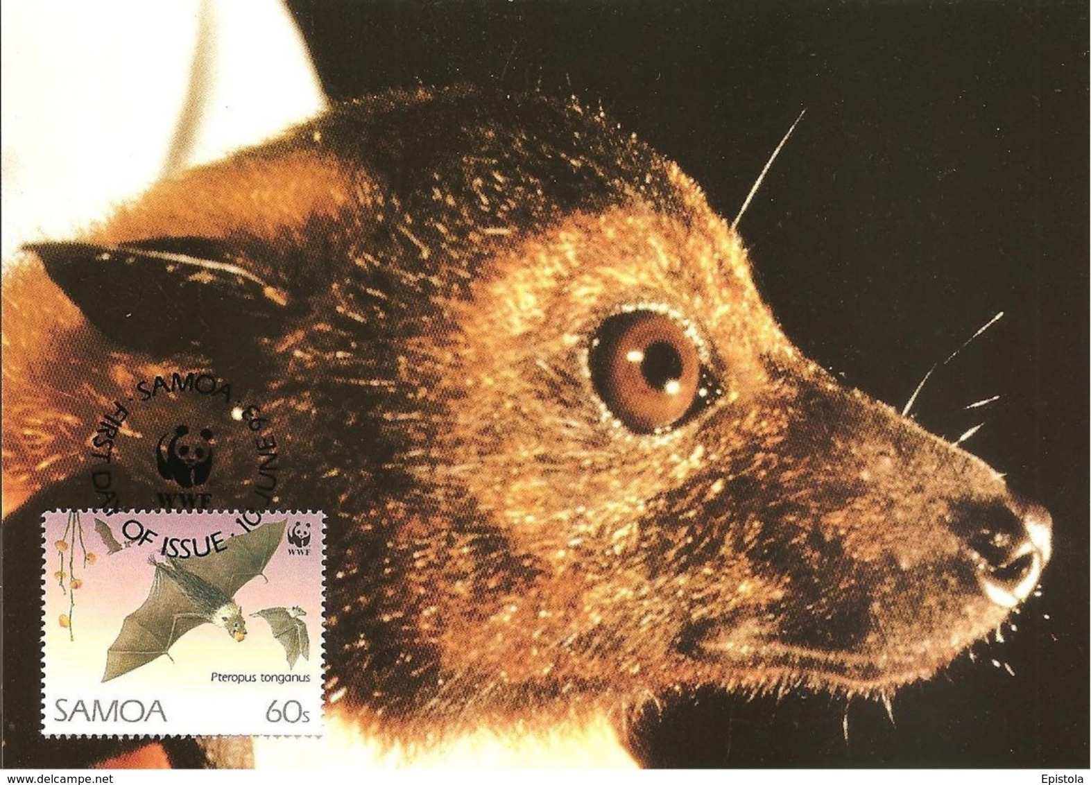 1993 - SAMOA - Tongan Fruit Bat - Chauve Souris Rousette Fructivore De TONGA - Samoa