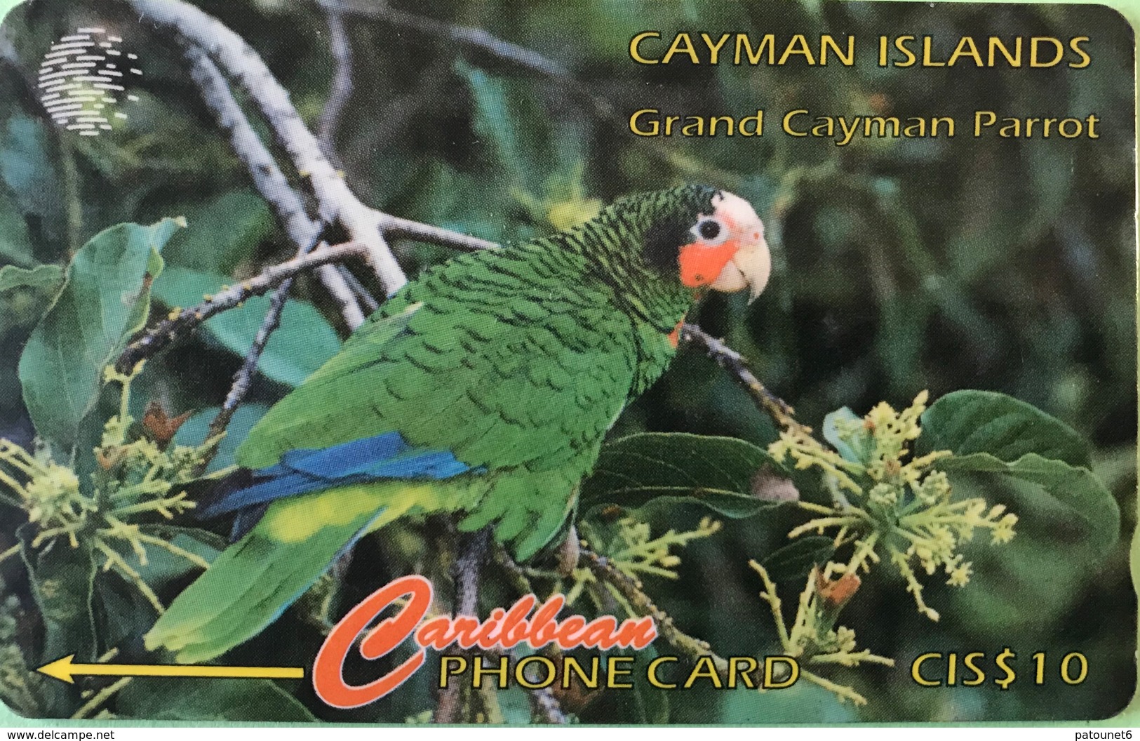 ILES CAYMAN  -  Phonecard  -  Cabble & Wirelees  - Amazona Leucocephala  -  CI $ 10 - Iles Cayman