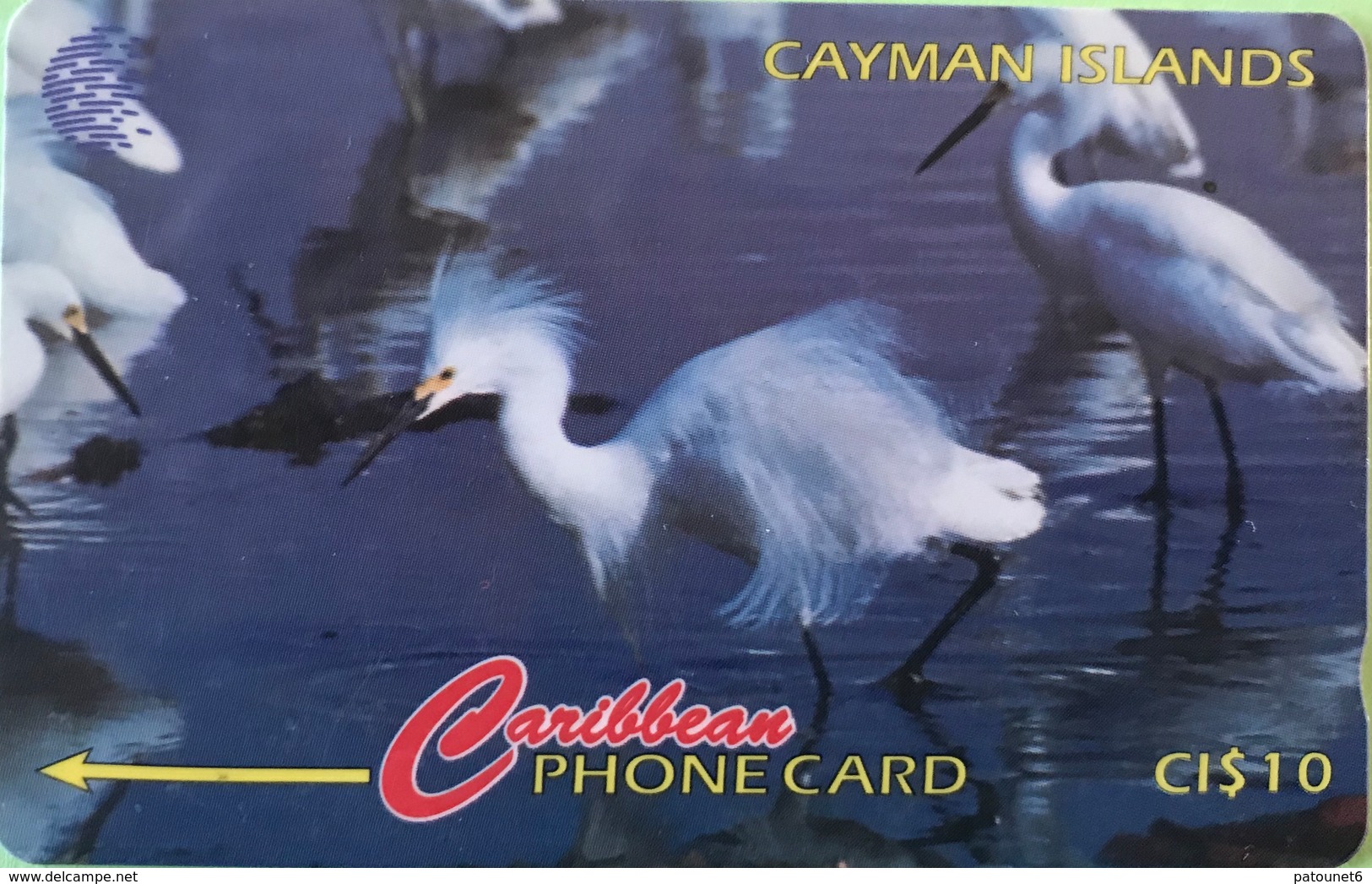 ILES CAYMAN  -  Phonecard  -  Cabble & Wirelees  -  Egretta Thula  -  CI $ 10 - Iles Cayman