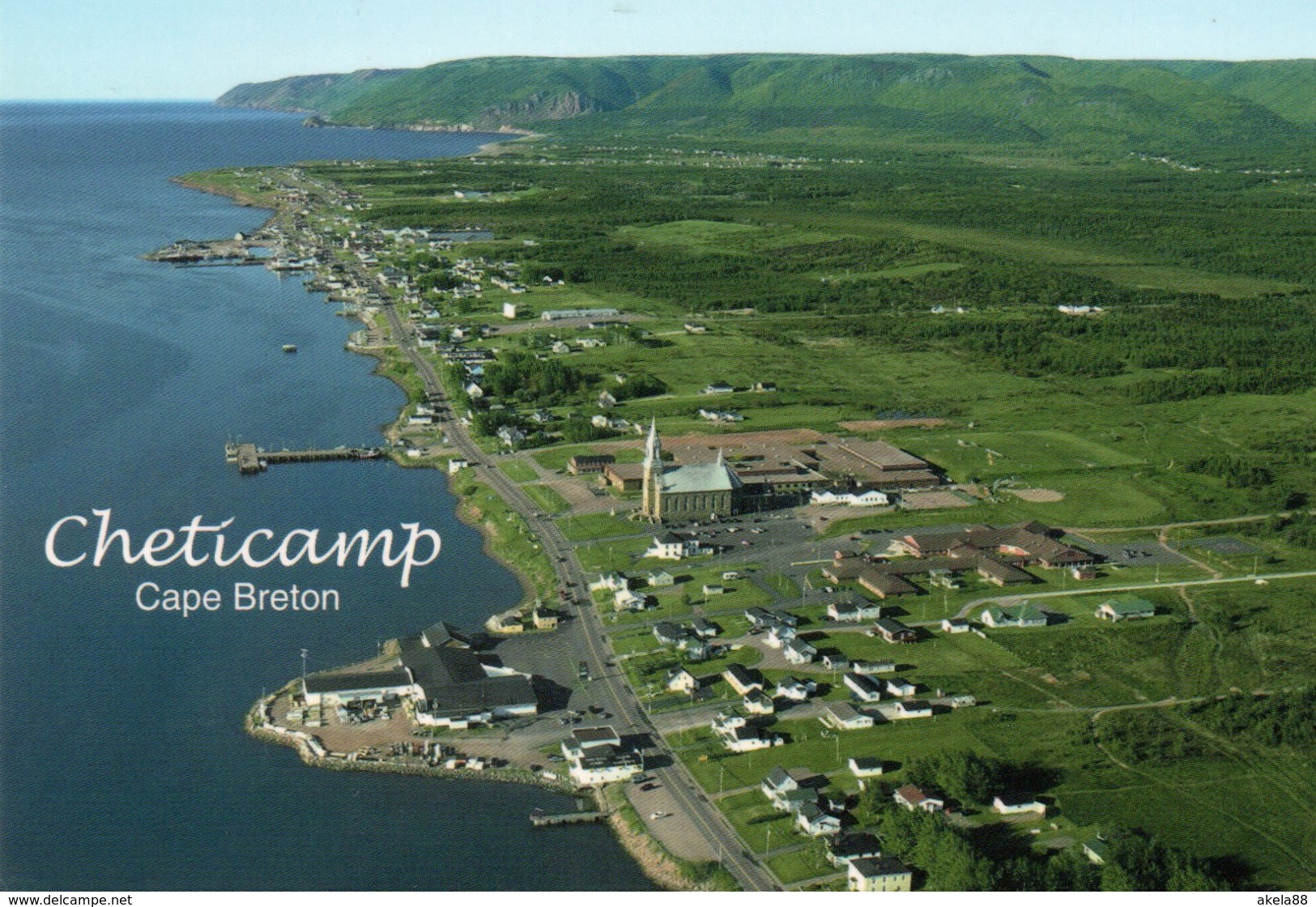 AMERICA - CANADA - CHETICAMP - CAPE BRETON - NUOVA SCOZIA - STEPHENVILLE - FIORE - Cape Breton