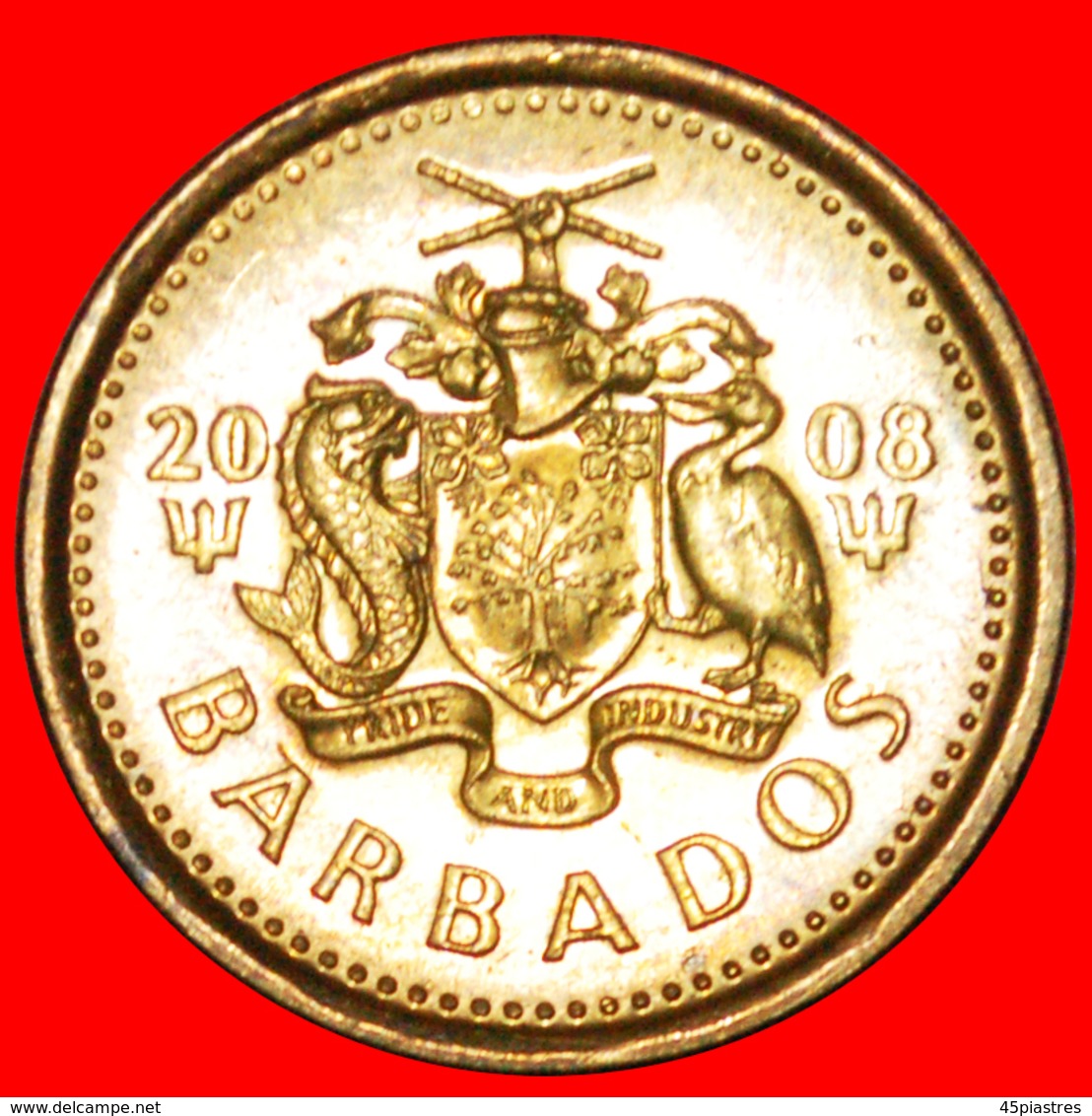 · GREAT BRITAIN (2007-2018): BARBADOS ★ 5 CENTS 2008 MINT LUSTER! LOW START ★ NO RESERVE! - Barbades