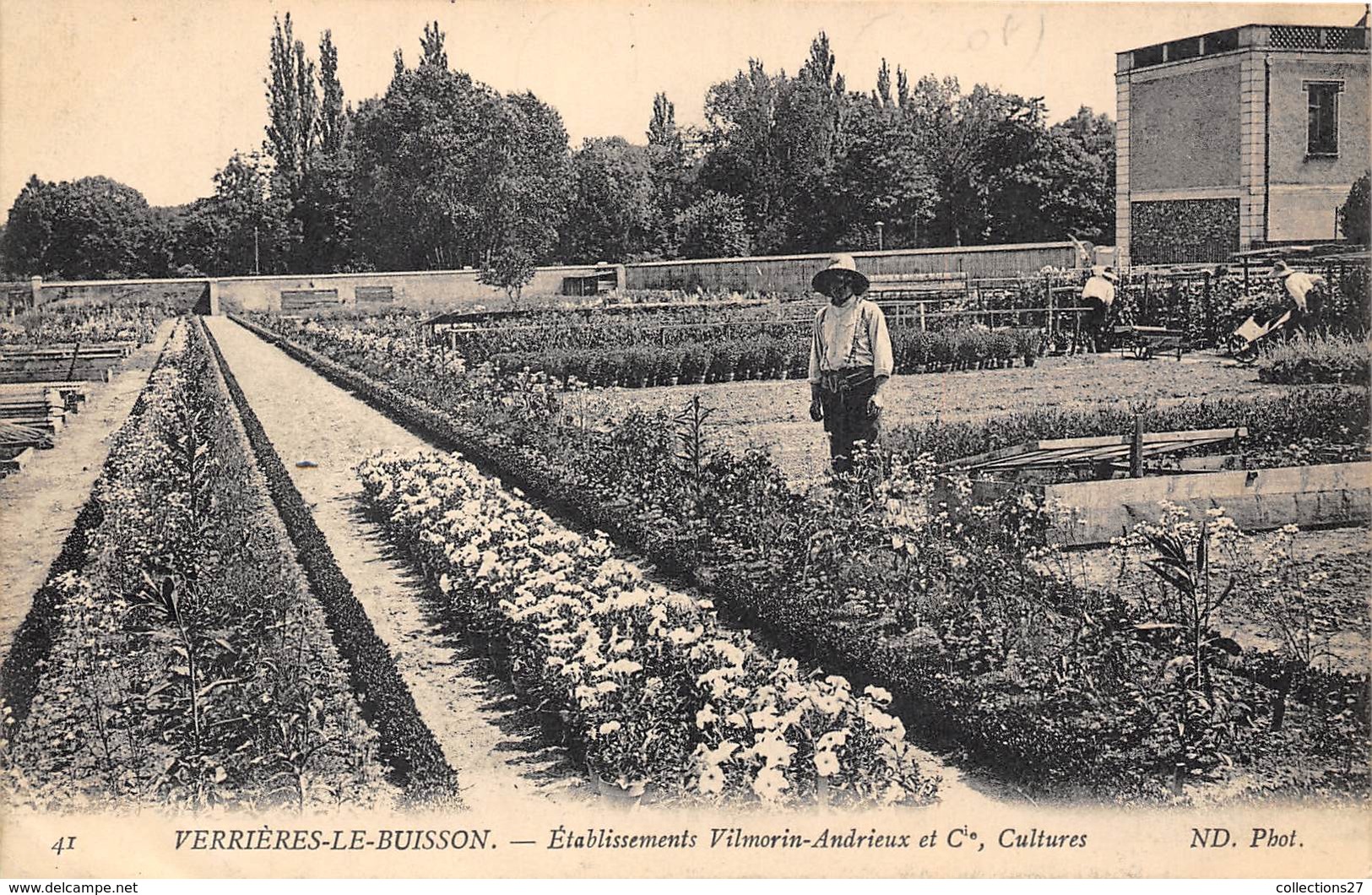 91-VERRIERES-LE-BUISSON- ETABLISSEMENT VILMORIN-ANDRIEUX ET Cie CULTURES - Verrieres Le Buisson