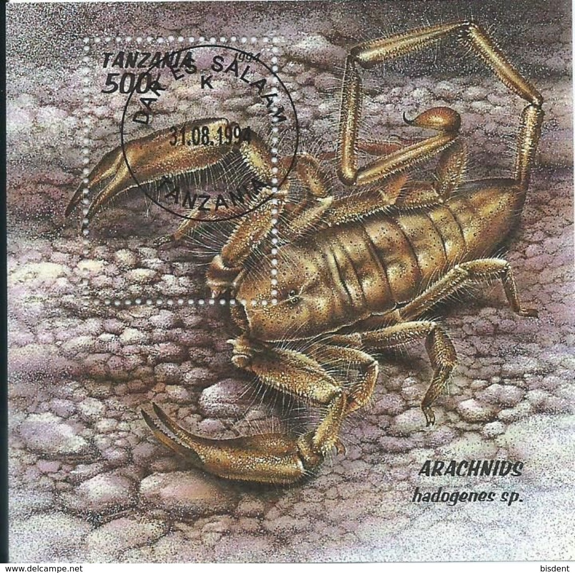 Tanzanie - Scorpion - Arachnids Hadogenes Sp. - 1994 - ° - Spiders