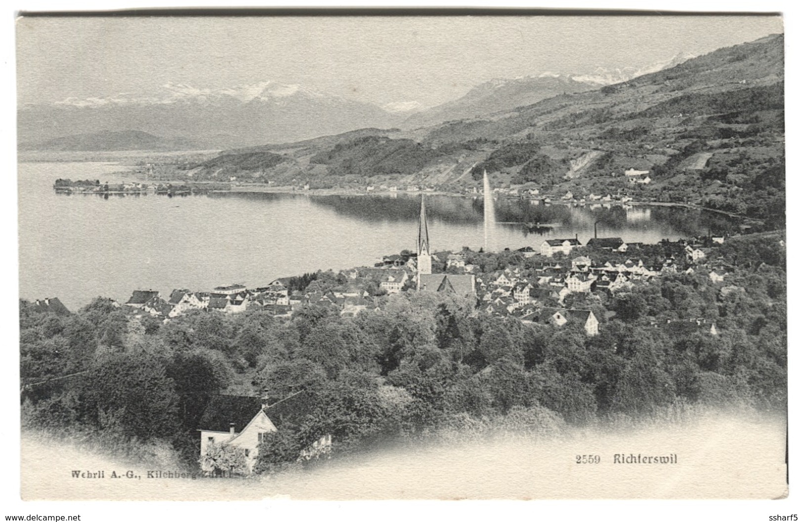 Richterswil Panorama (Zürichsee) C. 1908 - Richterswil