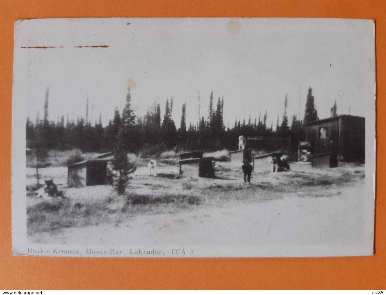 Carte Postale - Huskie Kennels , Goose Bay , Labrador - TCA 7 - Sonstige & Ohne Zuordnung