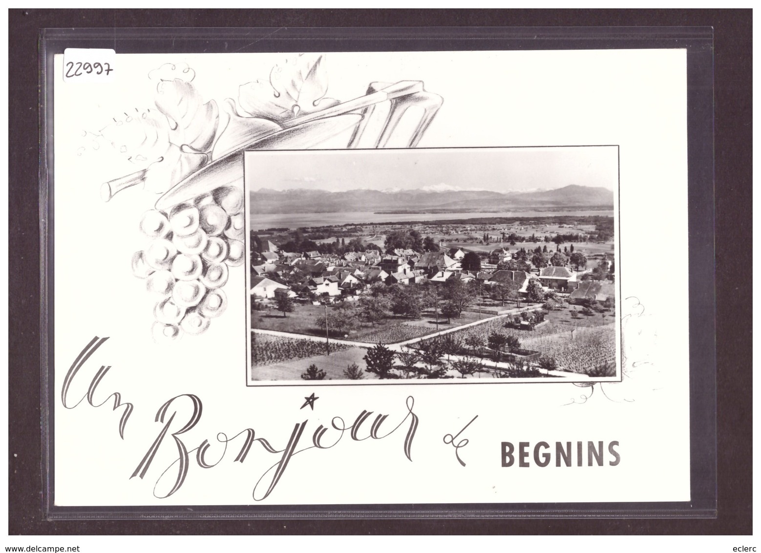 FORMAT 10x15cm - DISTRICT DE NYON - BEGNINS - TB - Begnins